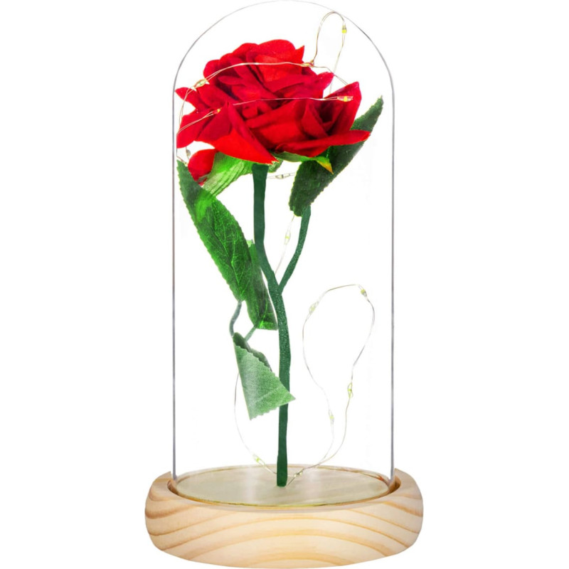 Springos HA5155 IGAVELINE ROOS KLAASIS