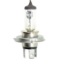 Bottari Halogen bulb H4 12V 60/55W P43T