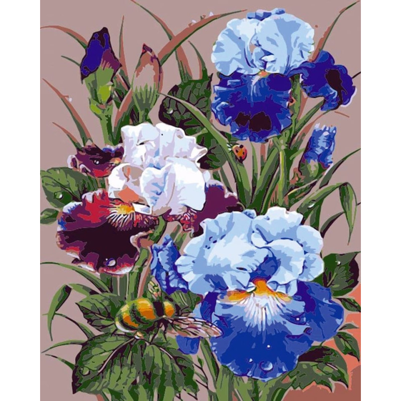 Flamingo Line Painting by the numbers - 50579 - IRIS - size 40x50 cm