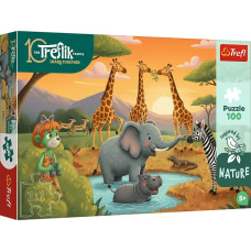 WESOŁA FERAJNA RODZINA TREFLIKÓW *100*