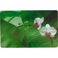 Asi Collection Galda paliktnis 43,5x28cm orhideja