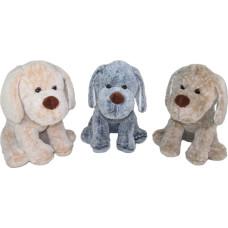 Istev koer – 3 värvi