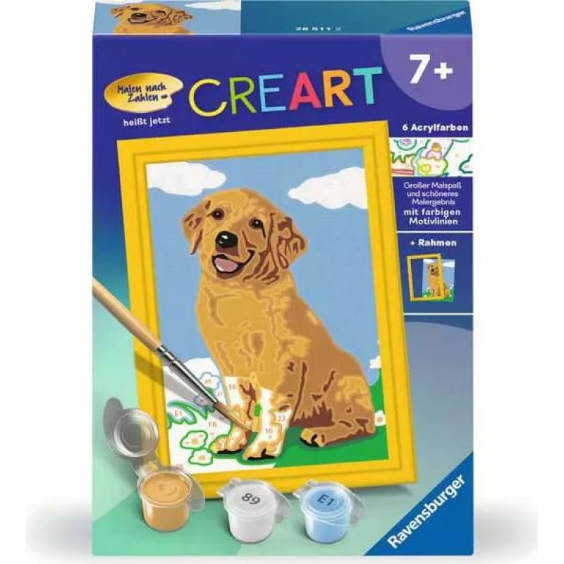 Ravensburger Paint by numbers 12x8.5 cm Golden Retriever