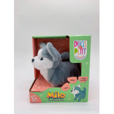 Pugs At Play Vaik&scaron;tantis &scaron;uniukas MILO