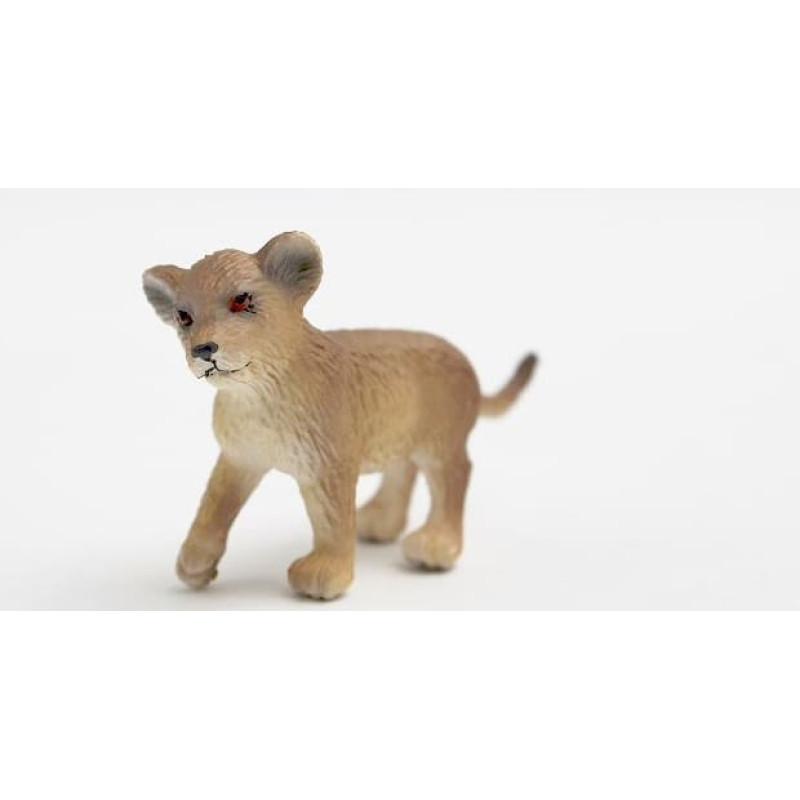 Metslooma beebi, 7 erinevat