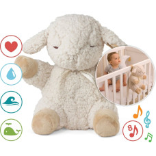 Cloud B SLEEPING SHEEP