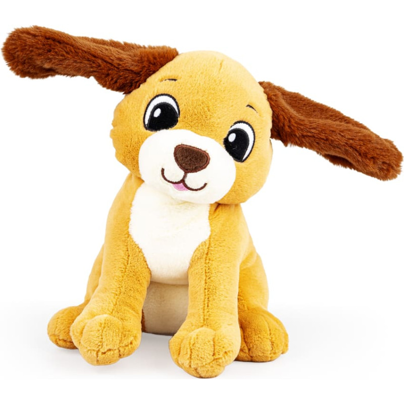 Dumel DD 30847 Uszaty piesek Rafi