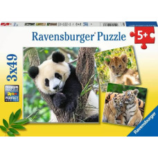 Ravensburger Puzzle 3x49 pcs Panda, Lion and Tiger