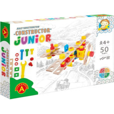 Alexander Puidust konstruktor - Lennuk