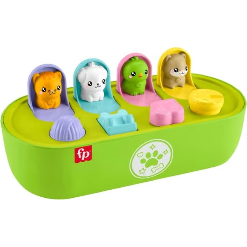 Fisher-Price loomade avastusmäng