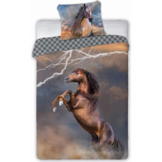 BEDDING SET HORSES 003 LIGHTNING 140X200+70X90 COTTON.