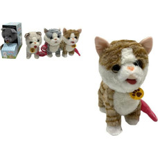 Other 89407 KOTEK NA SMYCZY