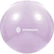 Springos Treeningpall pumbaga Springos FB0011 65 cm