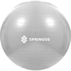 Springos Treeningpall pumbaga Springos FB0008 75cm