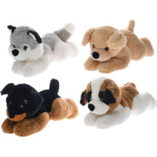 Take Me Home Plush toy - 54142 - ANIMALS / DOGS - size 20 cm
