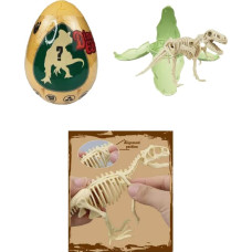 Dinosauruse muna pimepakk