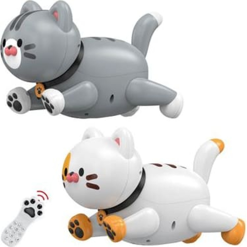 Interaktiivne puldiga juhitav kass