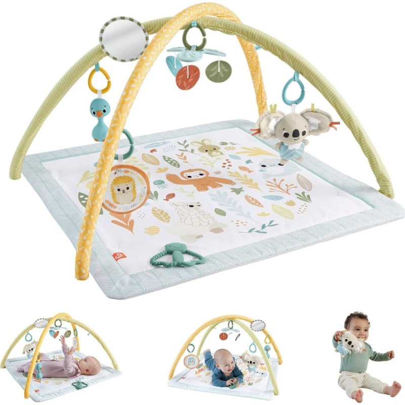 Fisher Price Simply Senses™ Newborn Gym