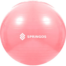 Springos Treeningpall pumbaga Springos FB0012 75 cm