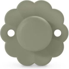 Suavinex 084161 PACIFIER SX PRO 0-6 HEDGE GREEN WONDER 308379