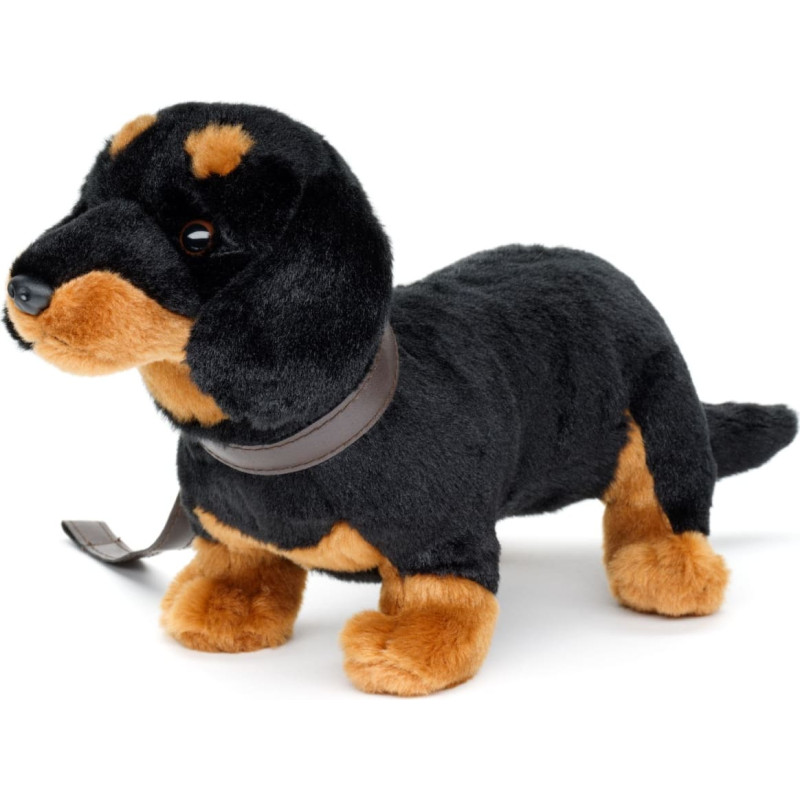 Uni-Toys Soft toy Dachshund with collar, 28 cm