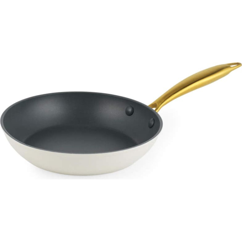 Salter BW14597 Aerotech Professional 20cm Fry Pan