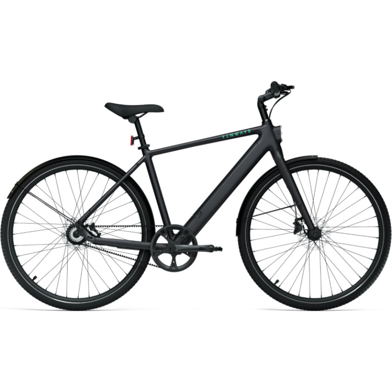 Tenways Elektrijalgratas TENWAYS CGO600 PRO (2025) Midnight Black (S)