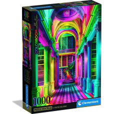 PUZZLE COLORBOOM BIBLIOTEKA *1000*