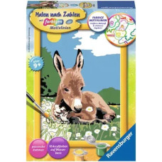 Ravensburger Paint by numbers Donkey