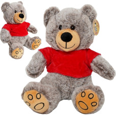 MIŚ SIEDZĄCY W KOSZULCE