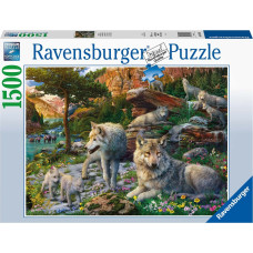 Ravensburger Puzzle Wolves in Spring 1500p 16598