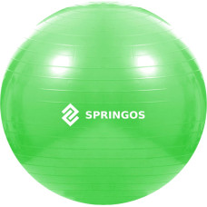 Springos Treeningpall pumbaga Springos FB0007 65cm