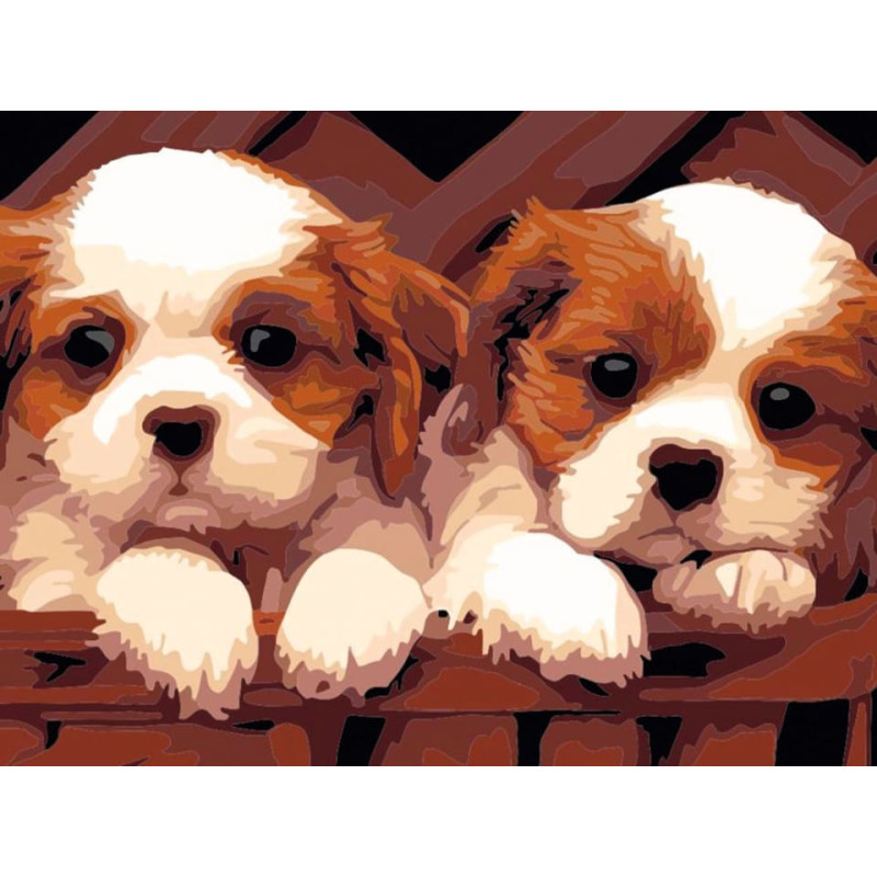 Flamingo Line Painting by the numbers - 50913 - 2 PUPPIES - size 40x30 cm