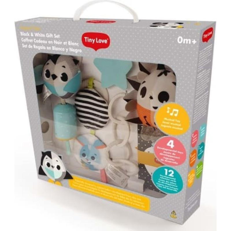 Tiny Love TL17009068 – Riputatavate mänguasjade komplekt kaardiga „Võlumaailm”