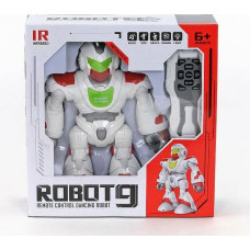 HIPO 501102 raadio teel juhitav robot