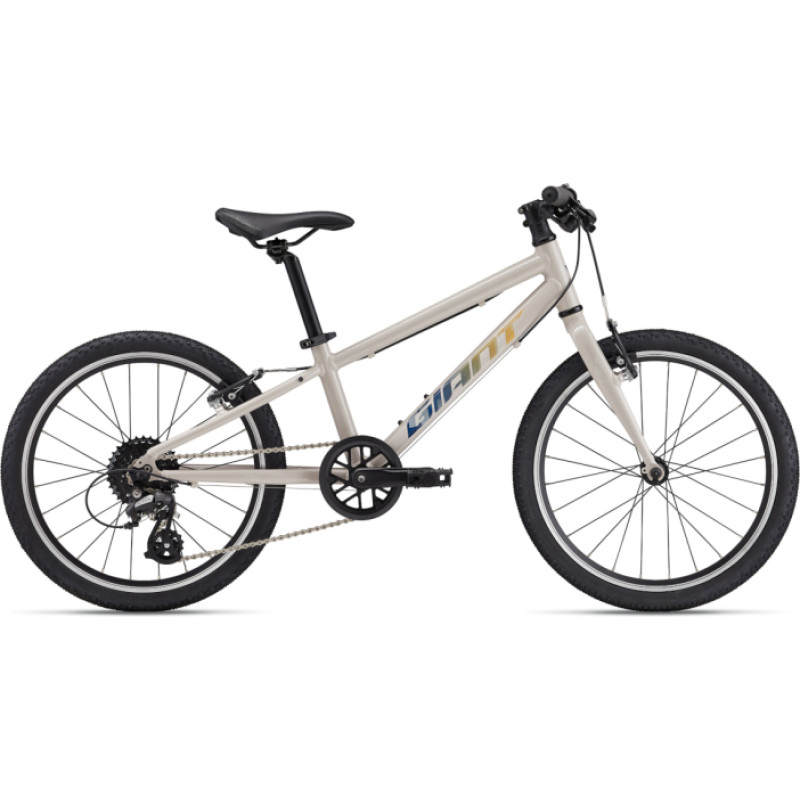 Giant &Uuml;likerge laste jalgratas GIANT ARX 20 (2025) Mushroom