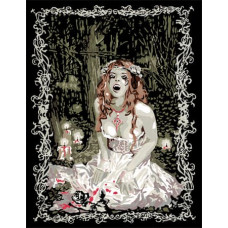 Ravensburger Paint by Numbers &ndash; Favole Vampire