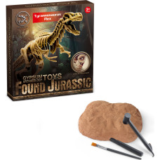Väljakaevamise komplekt Tyrannosaurus Rex