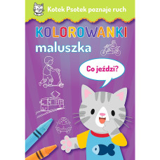 KOTEK PSOTEK POZNAJE RUCH - CO JEŹDZI?