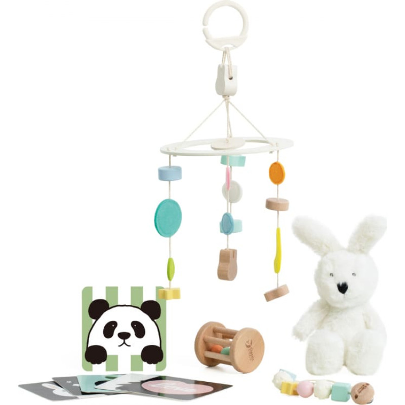 Classic World Pastelowy Zestaw dla Niemowląt Box Pierwsze Zabawki od 0 - 6 miesięcy