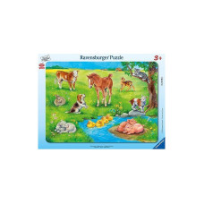 Ravensburger Пазл "Mājdzīvnieki" (8-17gab), 06104