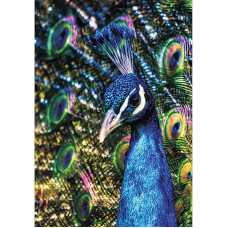 TSVETNOY diamond mosaiik 40x50cm Peacock, LG187e