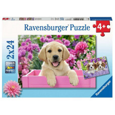 Ravensburger pusle  2X24 Me and my pal R 05029