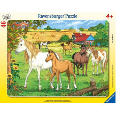 Ravensburger пазл в рамке 46 элементов 4+, 06646