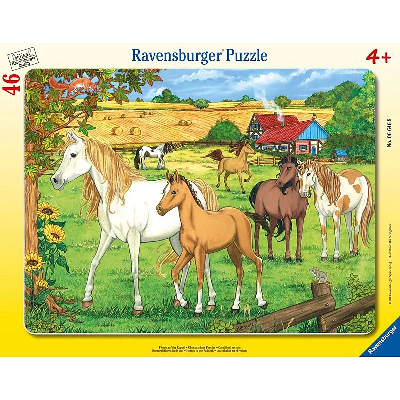 Ravensburger пазл в рамке 46 элементов 4+, 06646