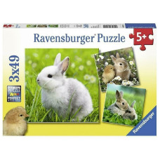 Ravensburger pusle 3x49 R 08041