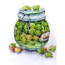 TSVETNOY diamond mosaiik 30x40cm Gooseberry Jame, LE052e