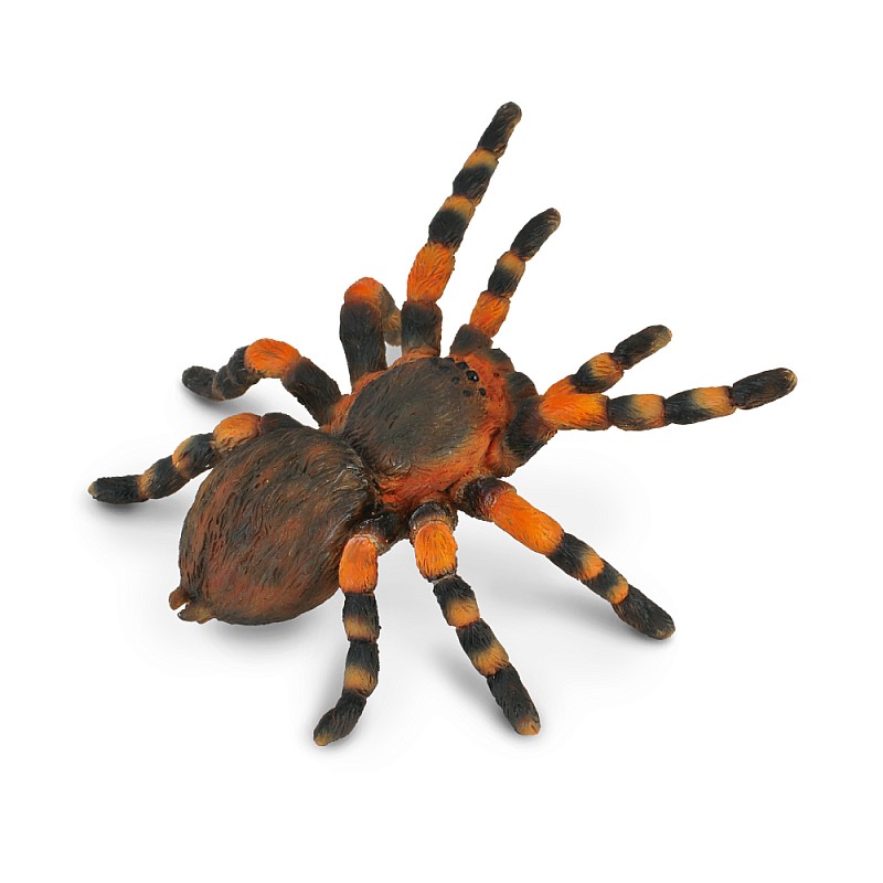 COLLECTA punaste põlvega Mehhiko Tarantula, (L), 88338