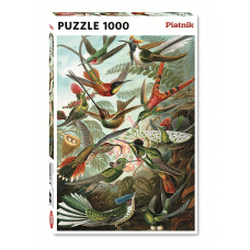 PIATNIK Pusle 1000 Haeckel Kolibrid