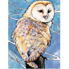 TSVETNOY diamond mosaiik 30x40cm Barn Owl, LE120e